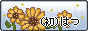 Sunflower button.
