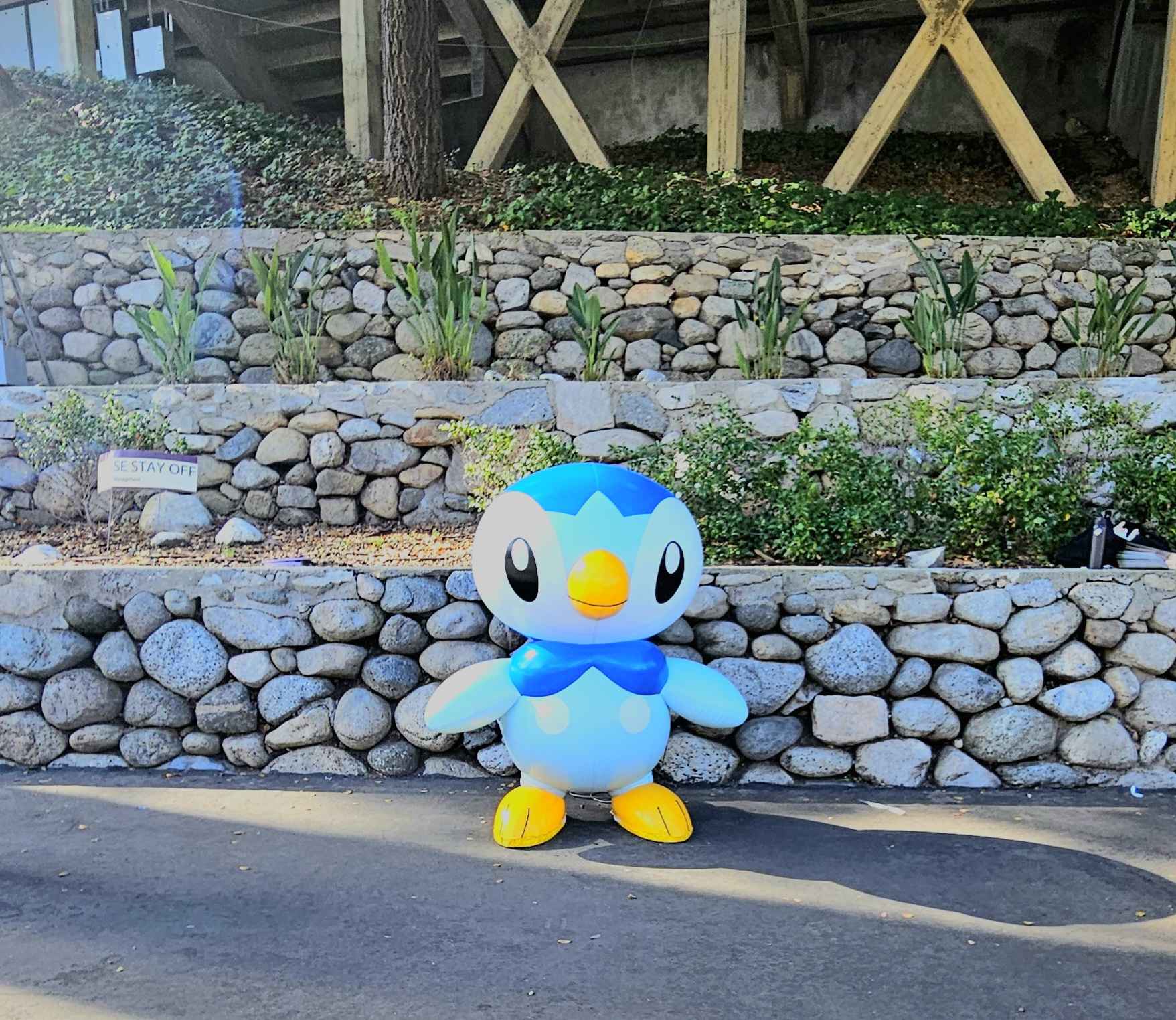 Inflatable balloon of Piplup.